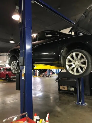 Customer Submitted Photo