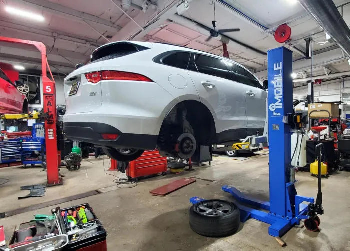 Customer Submitted Photo