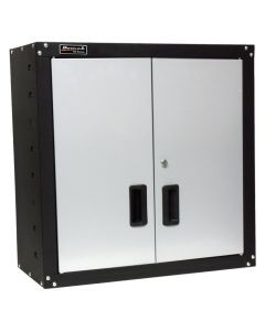 Homak 2 Door Wall Cabinet with 2 Shelves